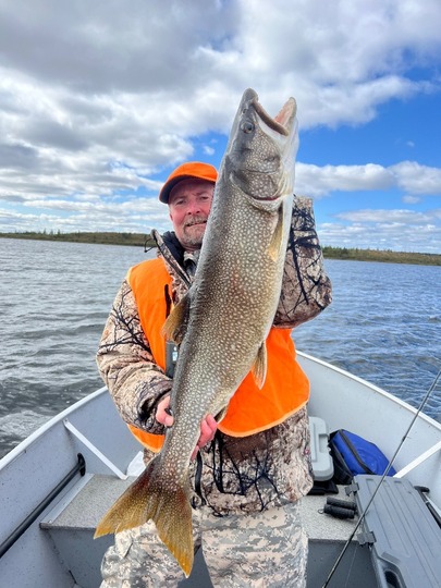Lake Trout