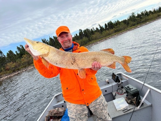 Northern Pike