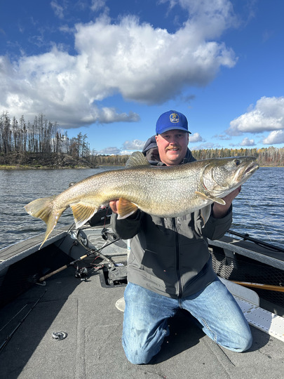 Lake Trout
