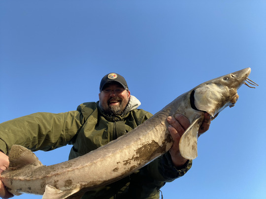 Lake Sturgeon