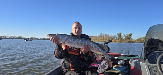 Northern Pike