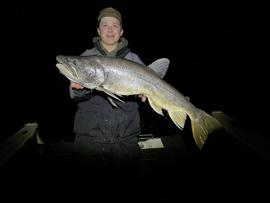 Lake Trout