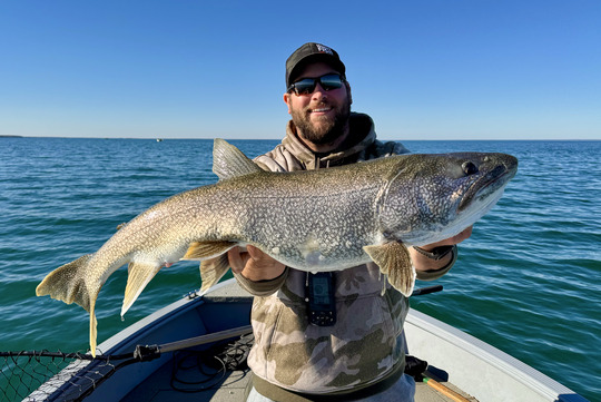 Lake Trout