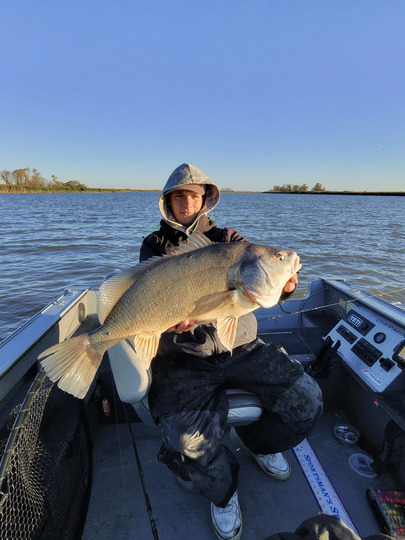 Freshwater Drum