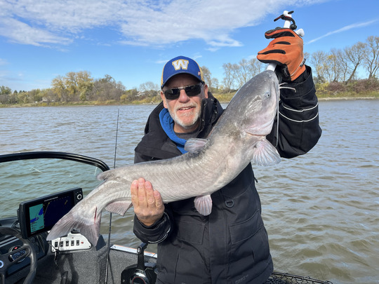 Channel Catfish