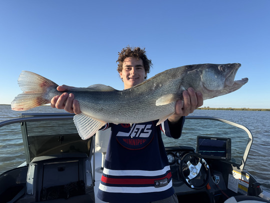 Walleye