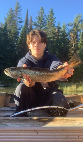 Tiger Trout