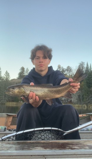 Tiger Trout
