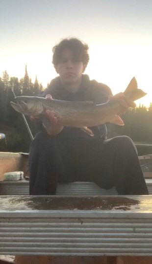 Tiger Trout
