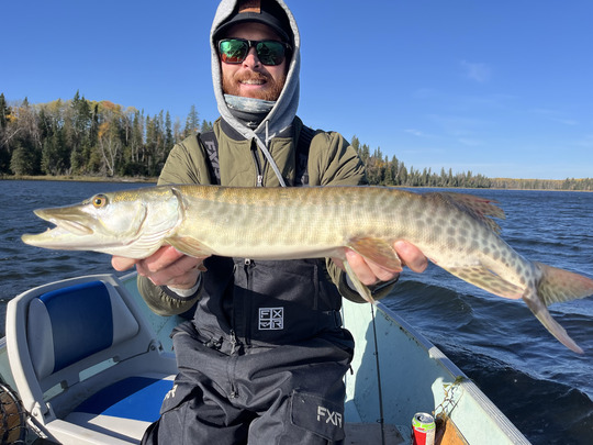 Muskellunge