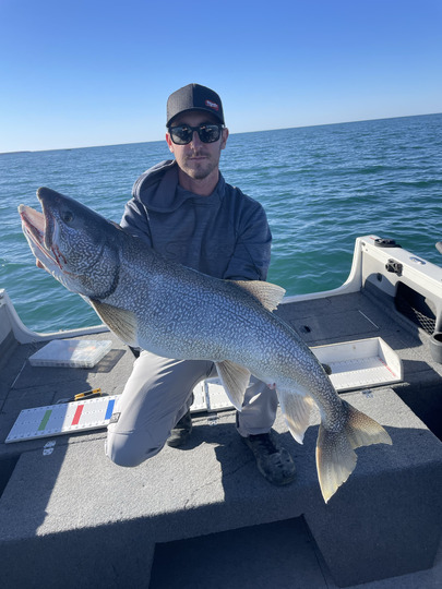 Lake Trout