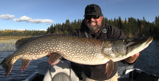 Northern Pike
