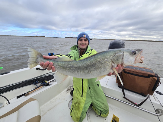 Walleye
