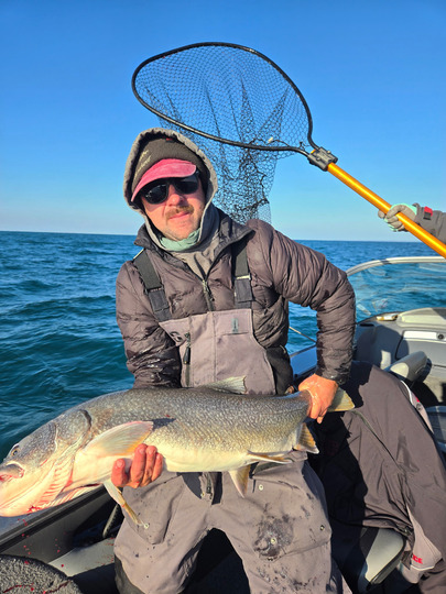 Lake Trout