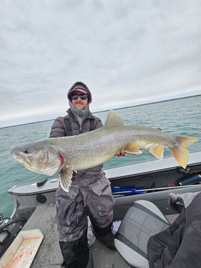 Lake Trout