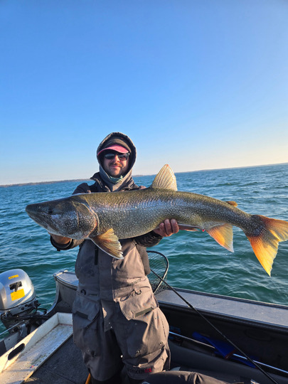Lake Trout