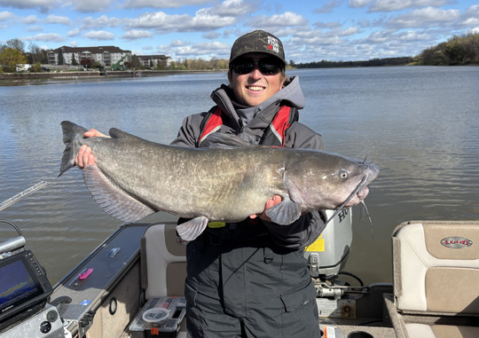 Channel Catfish