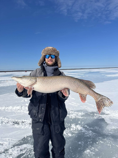Northern Pike