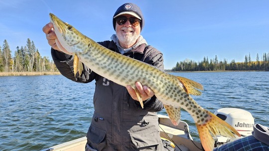 Muskellunge
