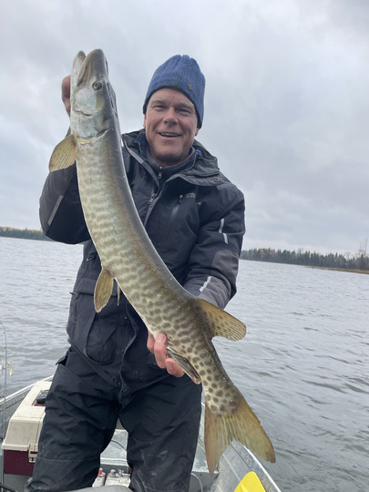 Muskellunge