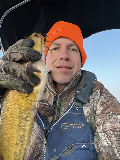 Bullhead