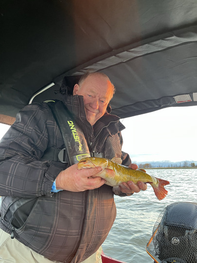 Bullhead
