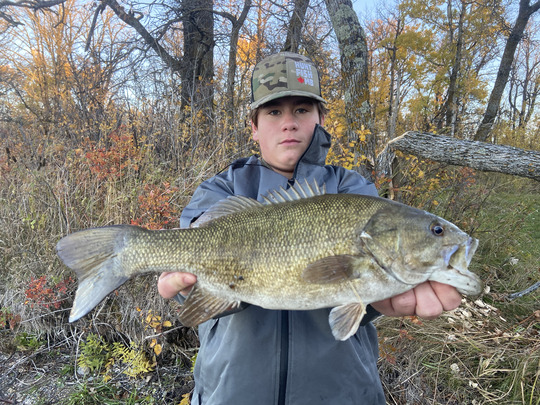 Smallmouth Bass