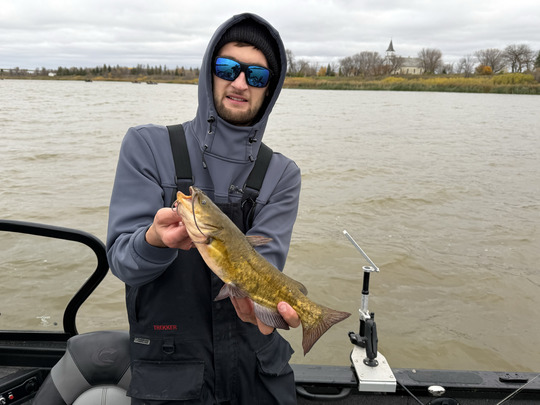 Bullhead