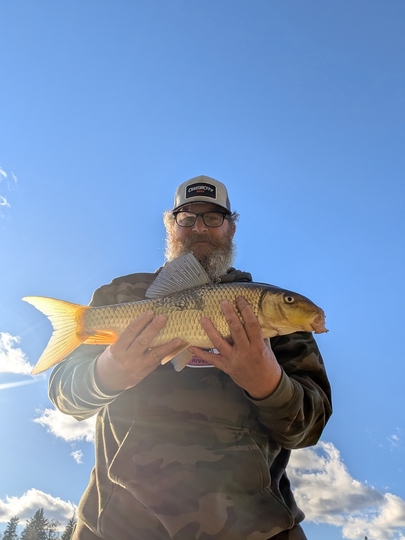 Sucker