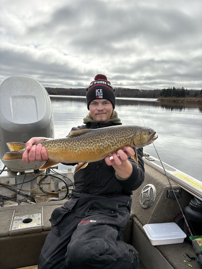 Tiger Trout