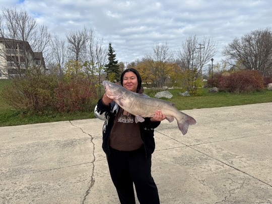 Channel Catfish