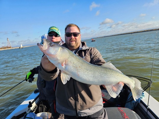 Walleye