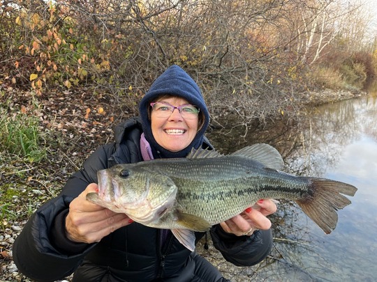 Largemouth Bass