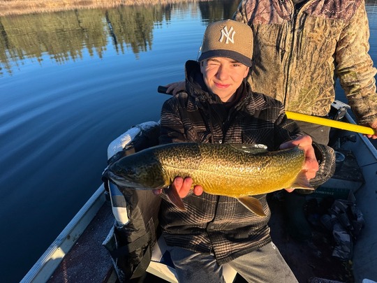 Tiger Trout
