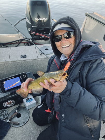Bullhead