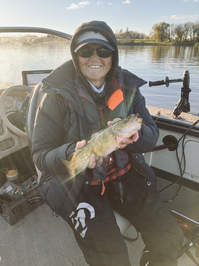 Bullhead