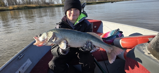 Walleye