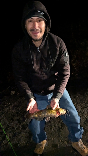 Bullhead
