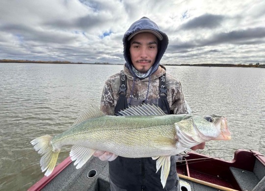 Walleye