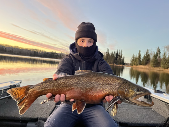 Tiger Trout