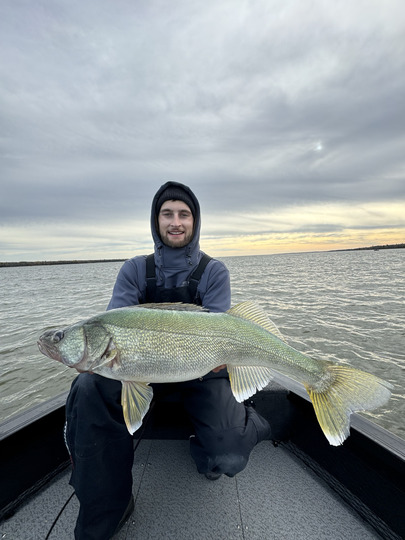 Walleye