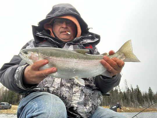 Rainbow Trout