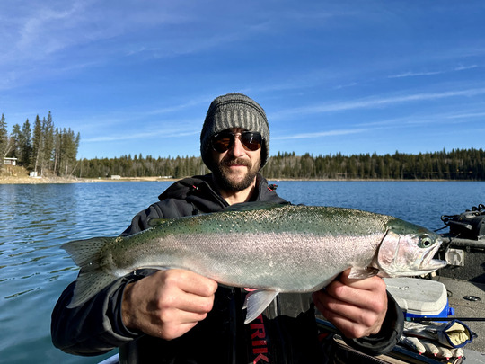 Rainbow Trout