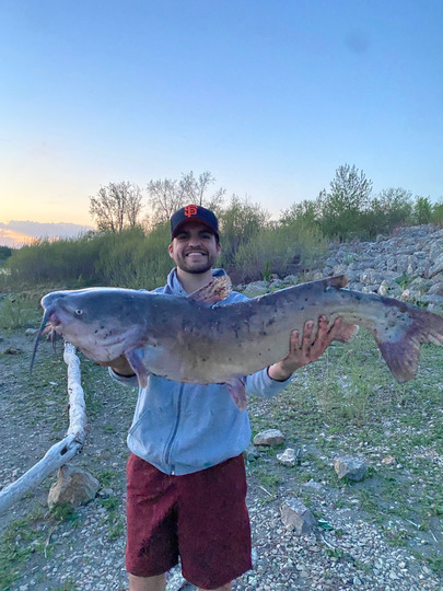 Channel Catfish