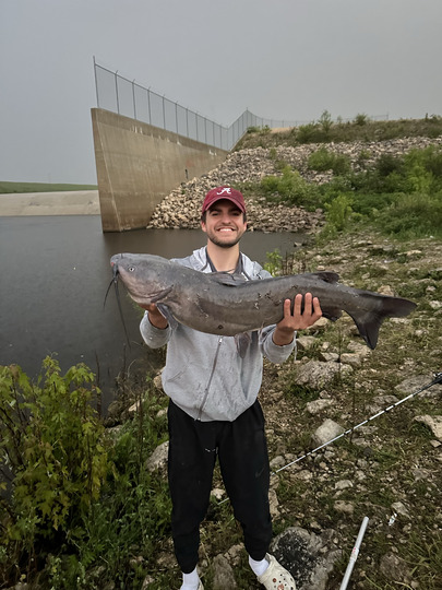 Channel Catfish