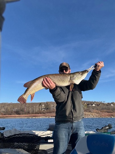 Northern Pike