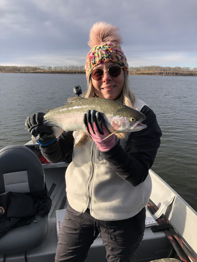 Rainbow Trout