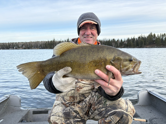 Smallmouth Bass