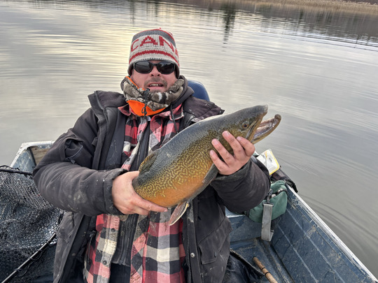 Tiger Trout