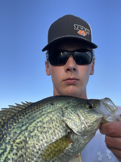 Black Crappie